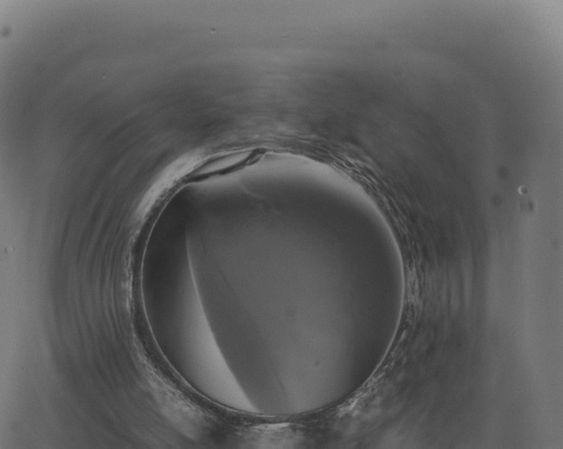 X0000062850054200601201714