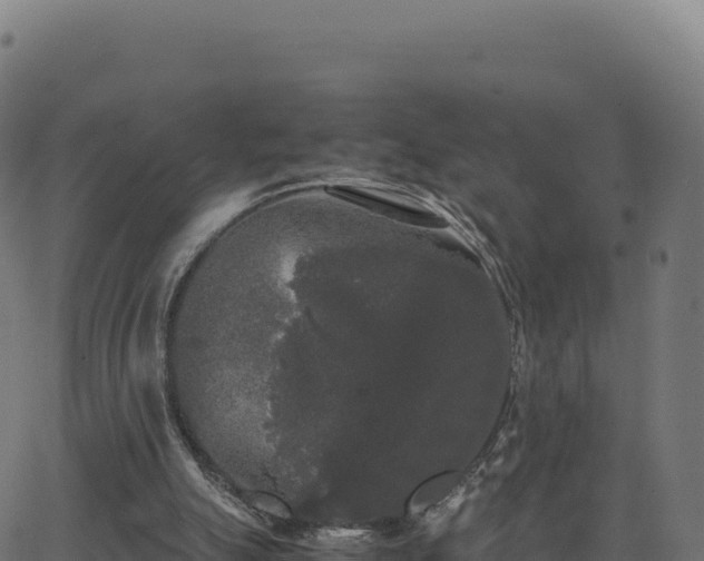 X0000062850055200601201714