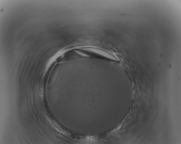 X0000062850056200601201714