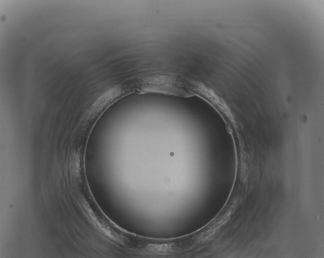 X0000062850057200601201714