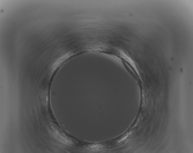 X0000062850059200601201714