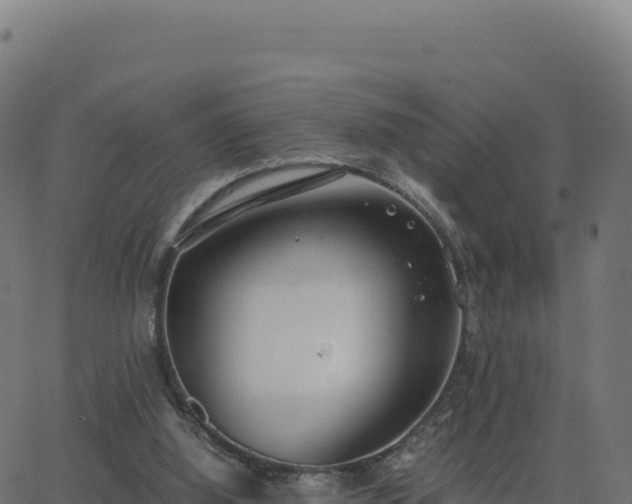 X0000062850060200601201714