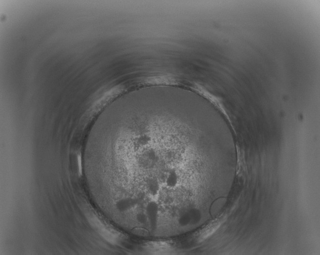 X0000062850061200601201714