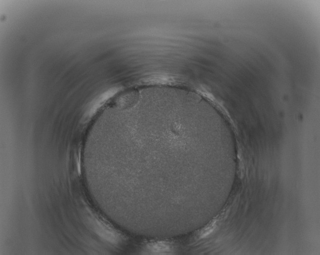 X0000062850062200601201714