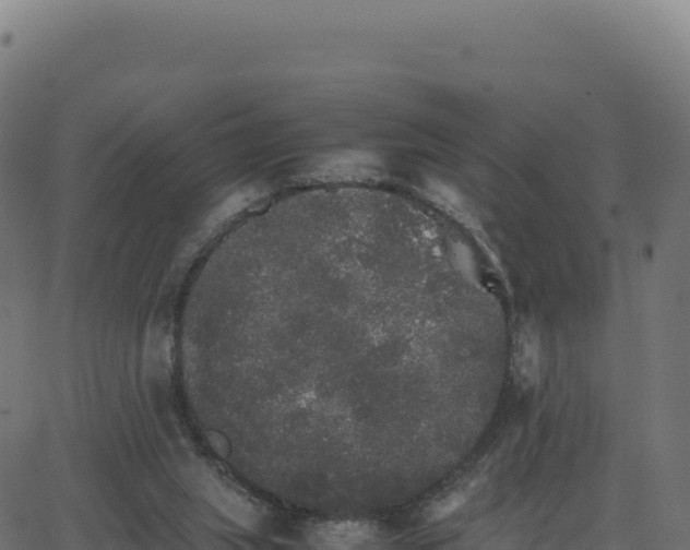 X0000062850063200601201714