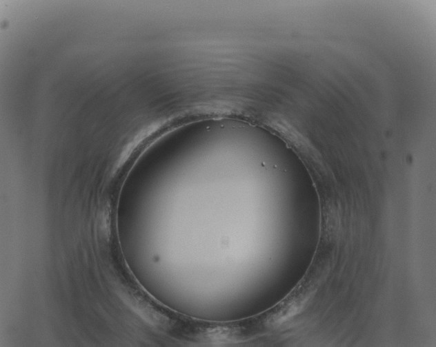 X0000062850064200601201714