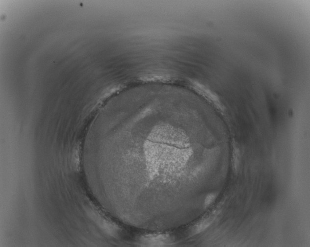 X0000062850065200601201714