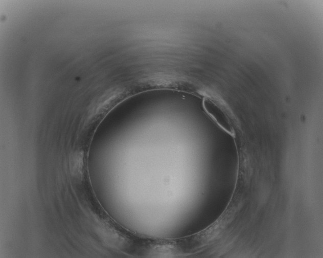 X0000062850066200601201714