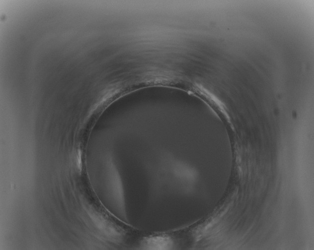 X0000062850067200601201714