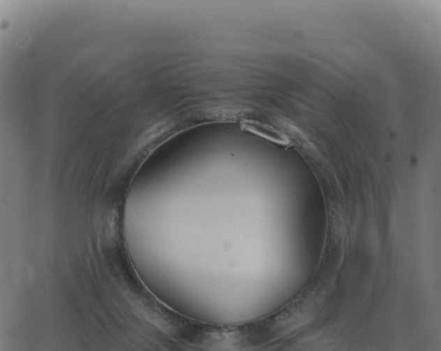 X0000062850071200601201714