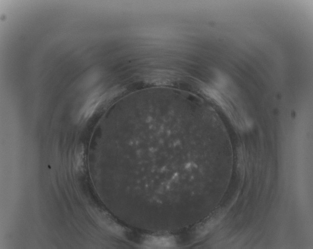 X0000062850073200601201714