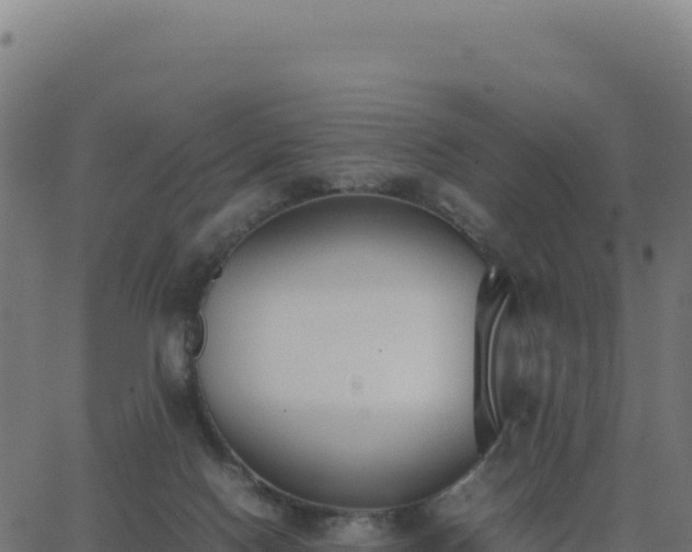 X0000062850074200601201714