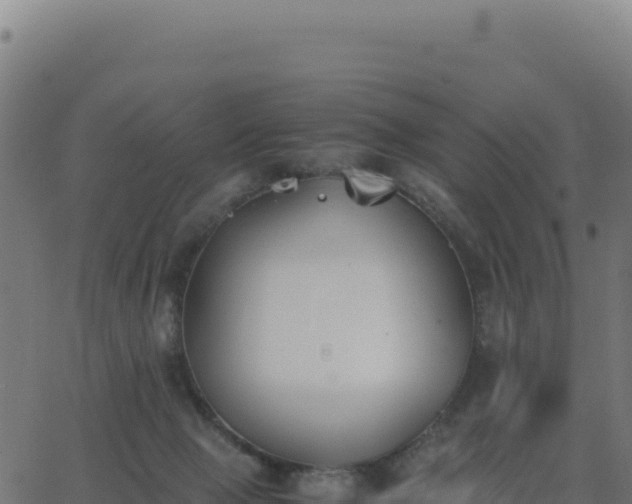 X0000062850077200601201714