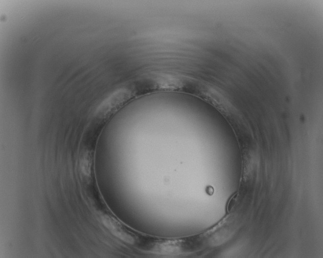 X0000062850078200601201714