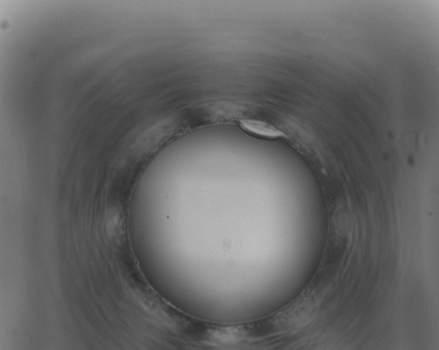 X0000062850079200601201714