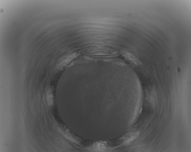 X0000062850080200601201714