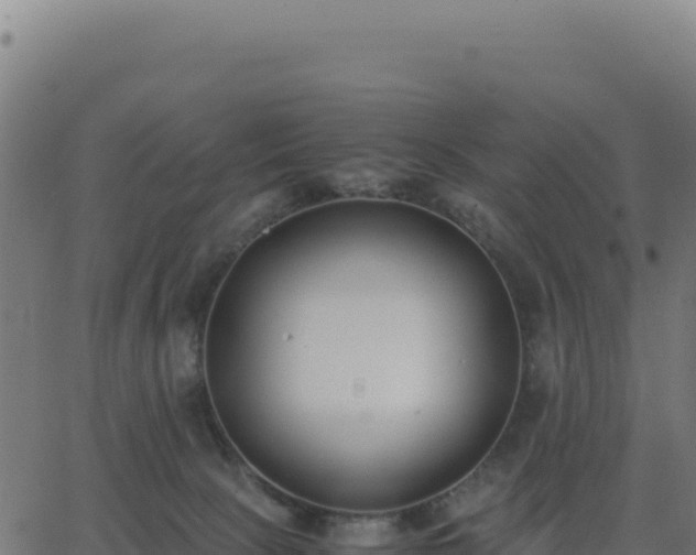 X0000062850081200601201714