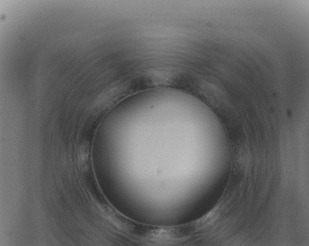 X0000062850082200601201714