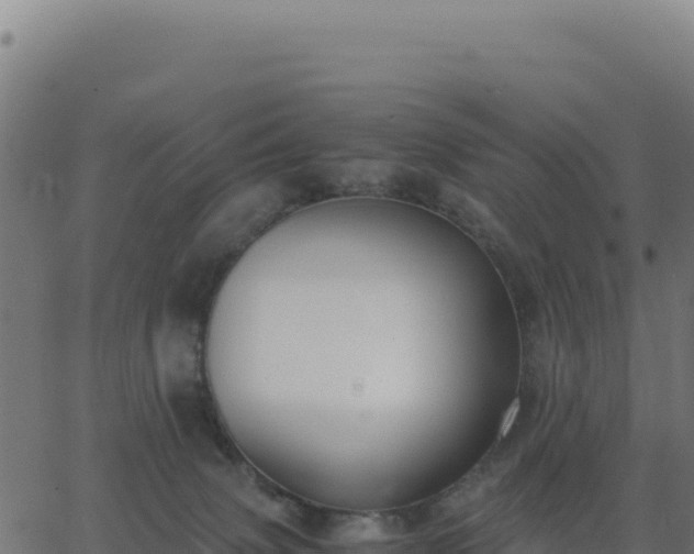 X0000062850083200601201714