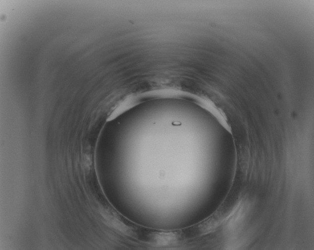 X0000062850085200601201714