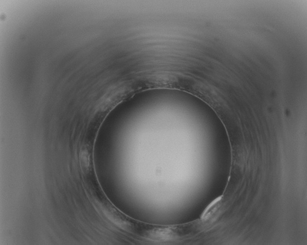 X0000062850086200601201714