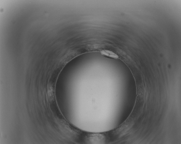 X0000062850087200601201714