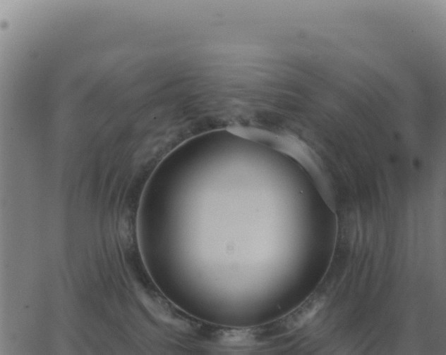 X0000062850088200601201714