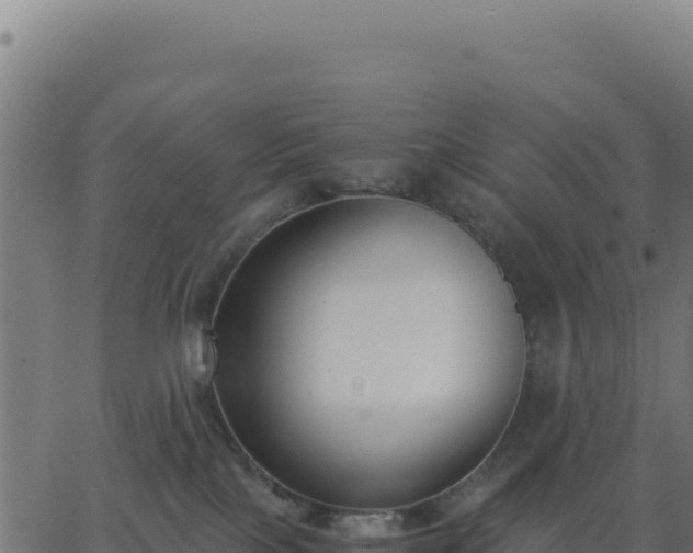 X0000062850089200601201714