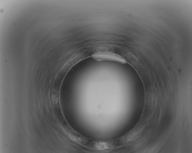 X0000062850091200601201714