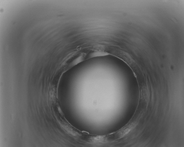 X0000062850092200601201714