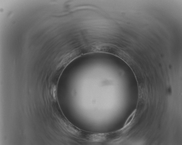 X0000062850094200601201714