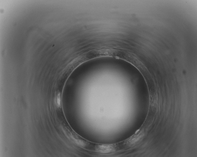 X0000062850095200601201714