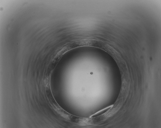 X0000062850096200601201714