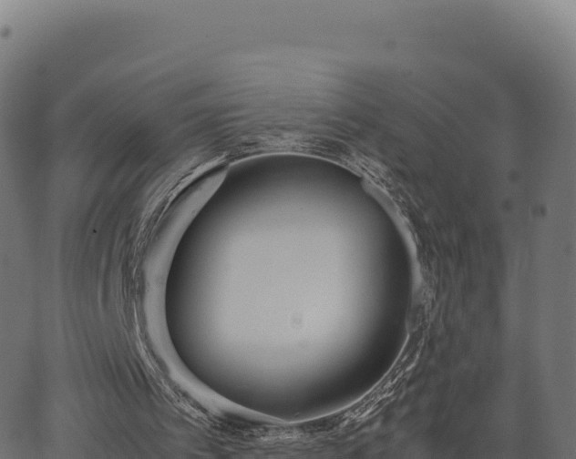 X0000062850097200601201714