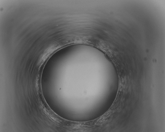 X0000062850098200601201714