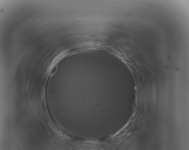 X0000062850099200601201713