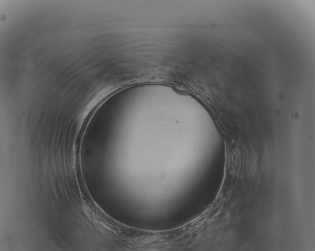 X0000062850100200601201713