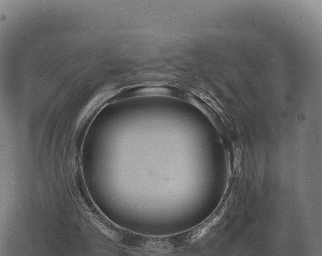 X0000062850101200601201713