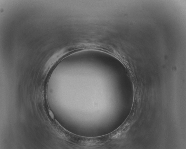 X0000062850103200601201713