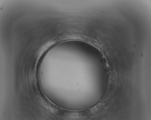 X0000062850104200601201713