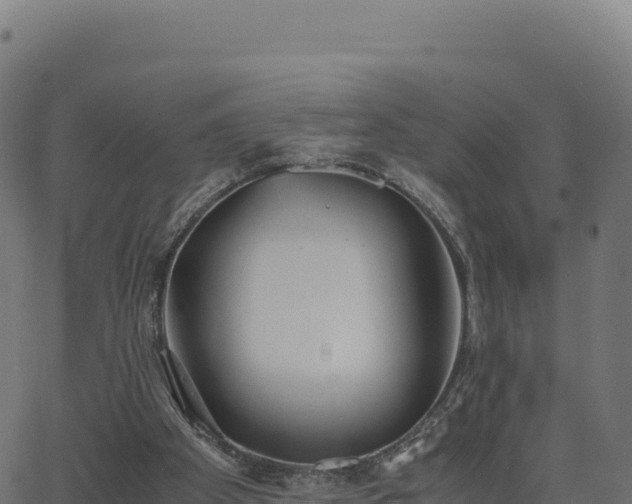 X0000062850105200601201713