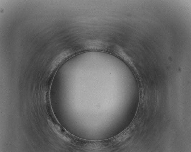 X0000062850106200601201713