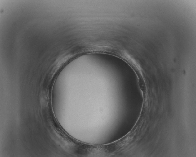 X0000062850107200601201713