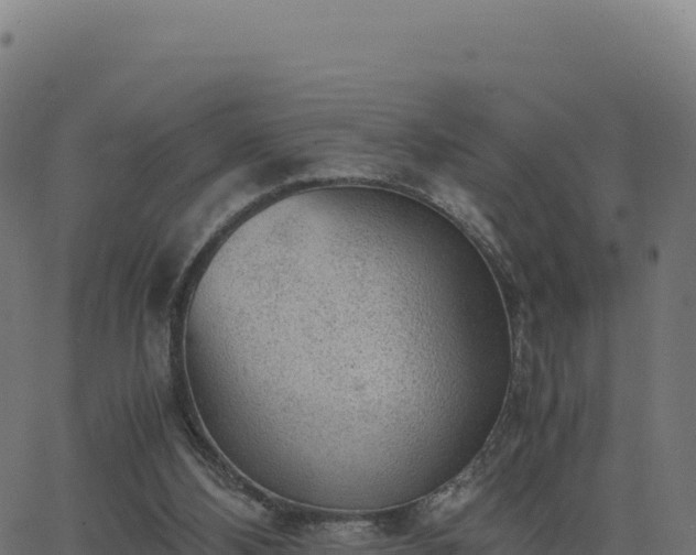 X0000062850108200601201713