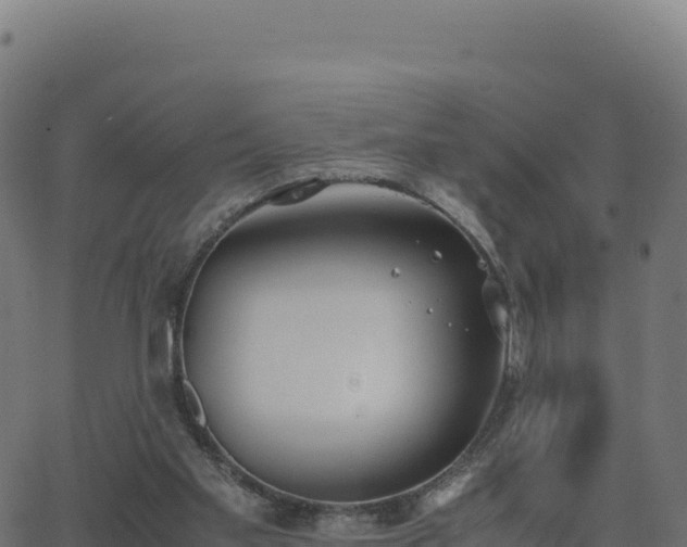 X0000062850109200601201713