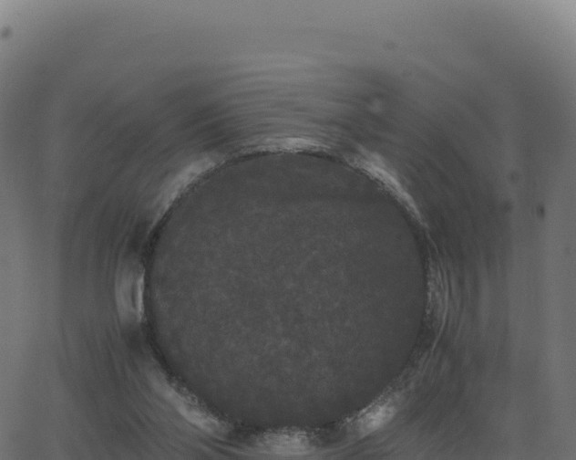 X0000062850110200601201713