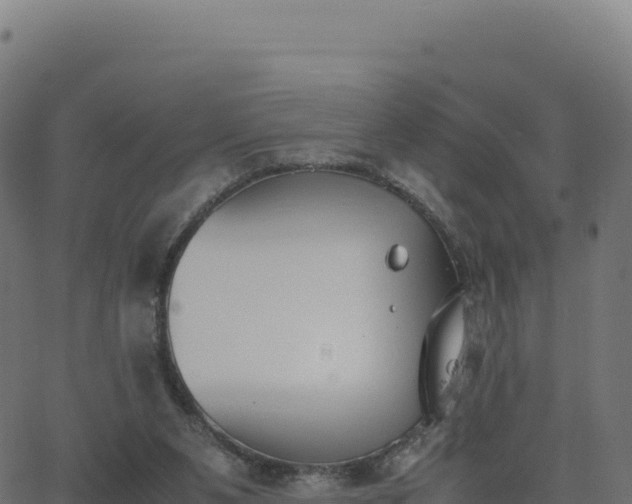 X0000062850111200601201713