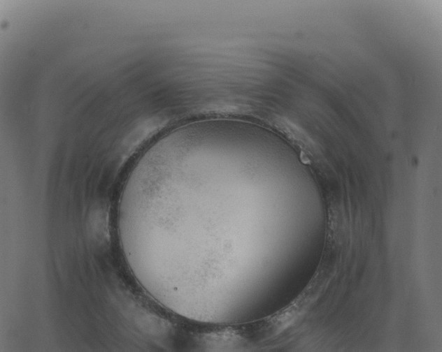 X0000062850112200601201713