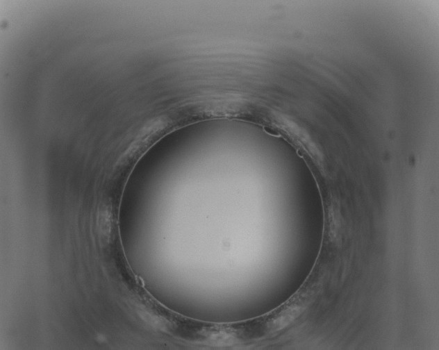 X0000062850113200601201713