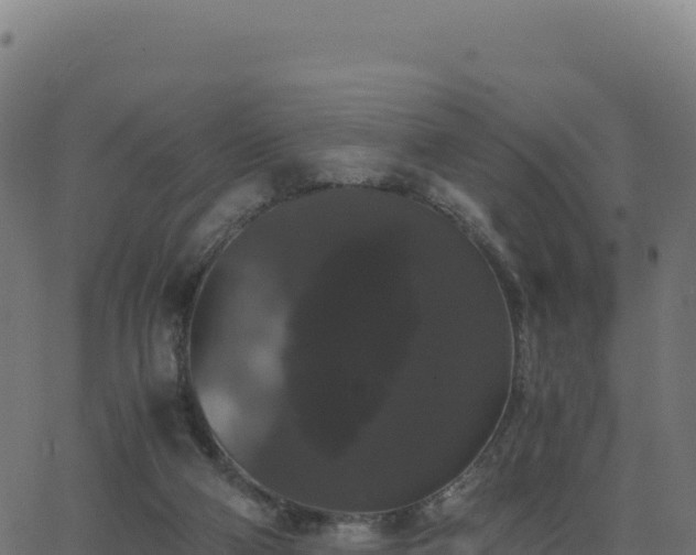 X0000062850114200601201713